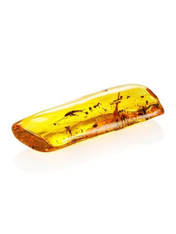 Natural Amber With Insect, image , picture 3