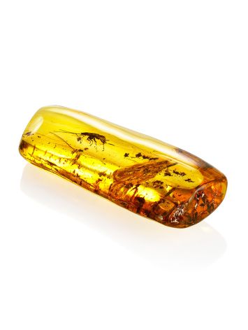Natural Amber With Insect, image , picture 5
