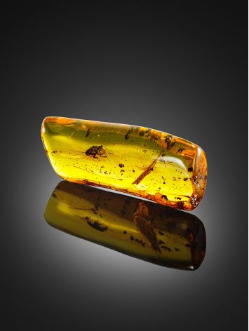 Natural Amber With Insect, image , picture 4
