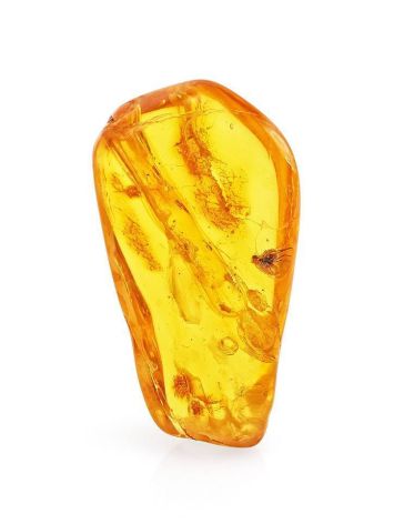 Amber Souvenir Stone With Fly Inclusion, image 