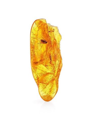 Natural Amber Stone With Fly Inclusion, image 