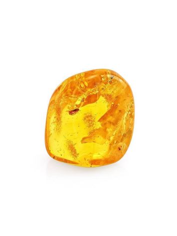 Natural Amber Souvenir Stone With Inclusion, image 