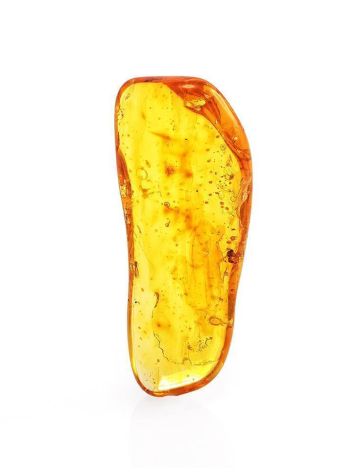 Amber Souvenir Stone With Insect Inclusions, image 
