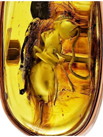 Amber Ring With Inclusions In Gold The Clio, Ring Size: 6.5 / 17, image , picture 2