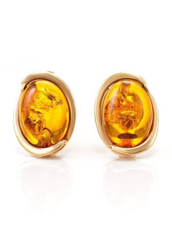 Amber Earrings In Gold-Plated Silver The Strauss, image 