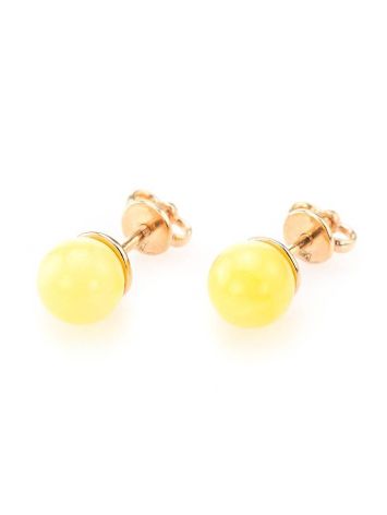 Round Honey Amber Stud Earrings In Gold, image 