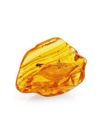 Souvenir Amber Stone With Fly Inclusions, image 