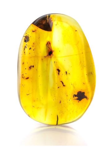 Colombian Amber Stone With Inclusions, image 