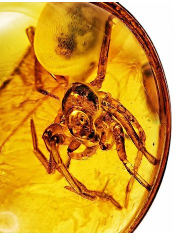 Unique Amber Ring In Gold With Inclusion The Clio, Ring Size: 6.5 / 17, image , picture 4