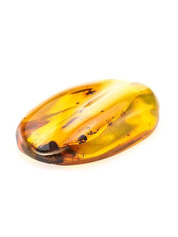 Colombian Amber Stone With Inclusions, image , picture 6