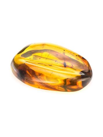 Colombian Amber Stone With Inclusions, image , picture 7