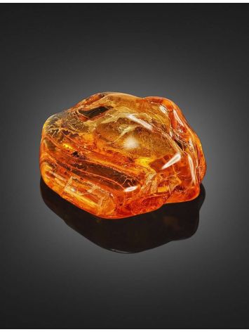 Souvenir Amber Stone With Fly Inclusions, image , picture 3