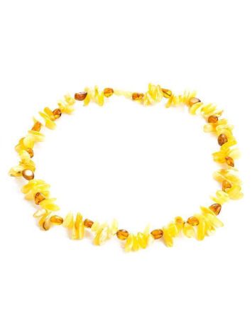 Multicolor Amber Chocker Necklace, image , picture 4