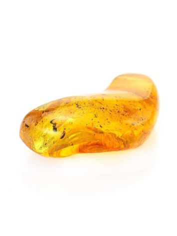 Natural Amber Stone With Inclusion, image , picture 4