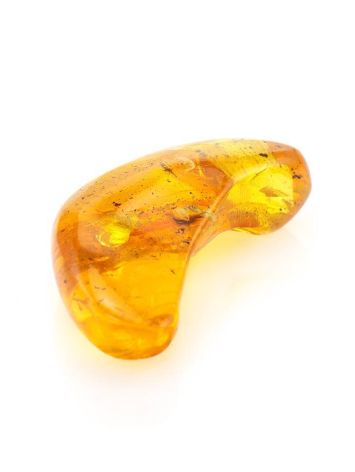 Natural Amber Stone With Inclusion, image , picture 8