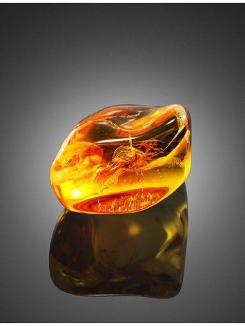 Glossy Amber Stone With Spider Inclusion, image , picture 3