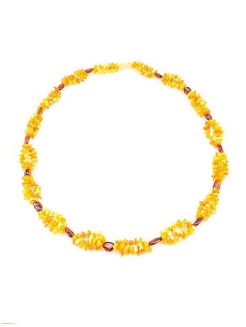 Multicolor Amber Beaded Necklace, image , picture 4