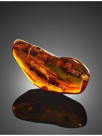Amber Stone With Fly Inclusion, image , picture 3