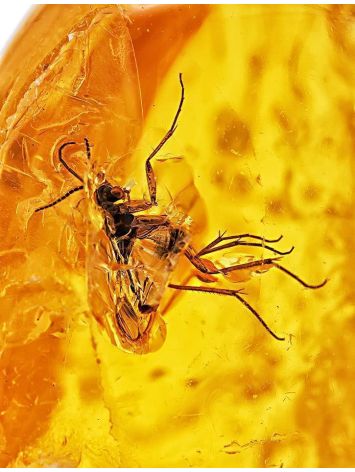 Natural Amber Stone With Mosquito Inclusion, image , picture 2