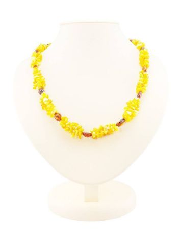 Multicolor Amber Beaded Necklace, image 