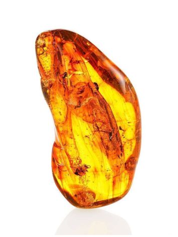Amber Stone With Fly Inclusion, image 
