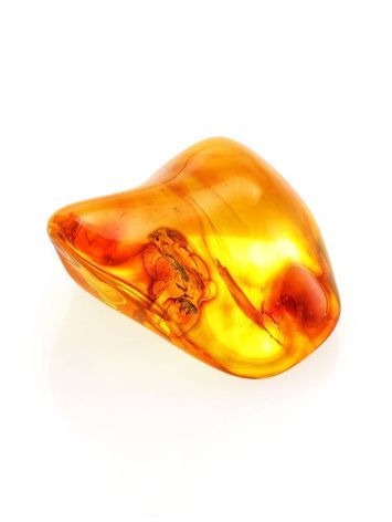 Glossy Amber Stone With Insect Inclusion, image , picture 6