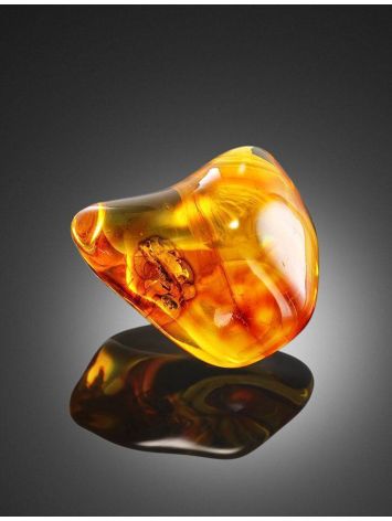 Glossy Amber Stone With Insect Inclusion, image , picture 4