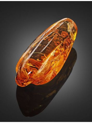 Amber Stone With Insect Inclusion, image , picture 3