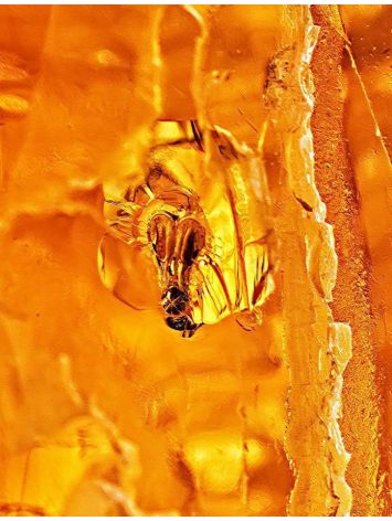 Amber Stone With Insect Inclusion, image , picture 6