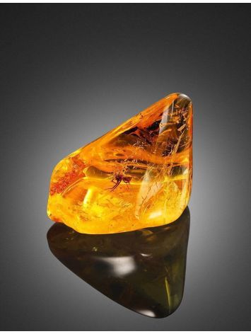 Luminous Amber Stone With Spider Inclusion, image , picture 3