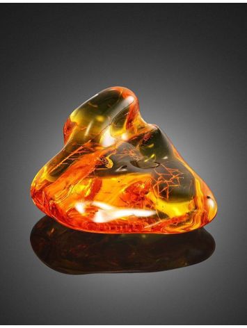 Amber Stone With Spider Inclusion, image , picture 3