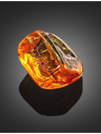 Natural Amber Stone With Midge Inclusion, image , picture 4