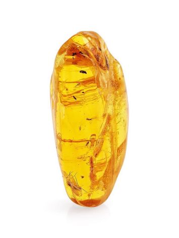 Amber Stone With Insect Inclusion, image 