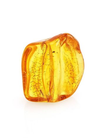 Natural Amber Stone With Midge Inclusion, image 