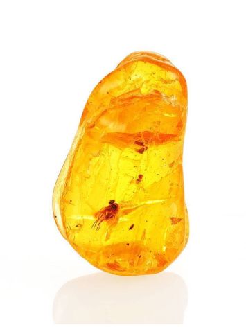 Natural Amber Stone With Insect Inclusion, image 