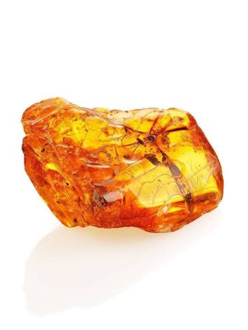 Genuine Amber Stone With Insect Inclusion, image , picture 6