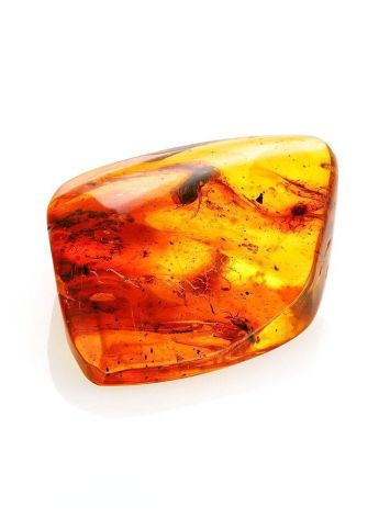 Natural Amber Stone With Insect Inclusion, image , picture 5
