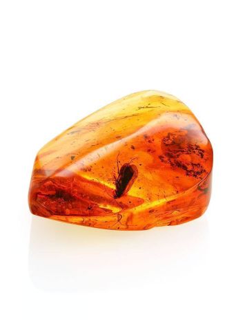 Natural Amber Stone With Insect Inclusion, image , picture 6