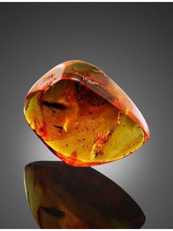 Natural Amber Stone With Insect Inclusion, image , picture 4