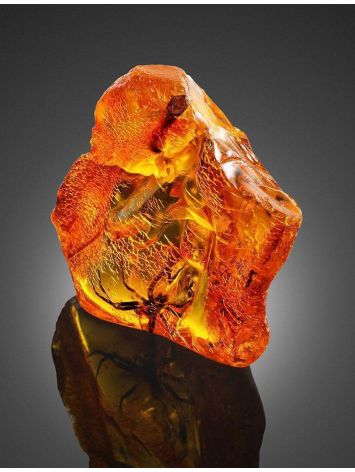 Genuine Amber Stone With Spider Inclusion, image , picture 5