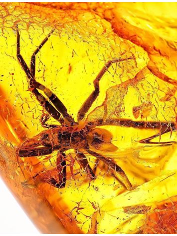 Genuine Amber Stone With Spider Inclusion, image , picture 3