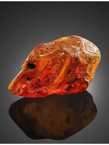 Amber Souvenir Stone With Inclusions, image , picture 5
