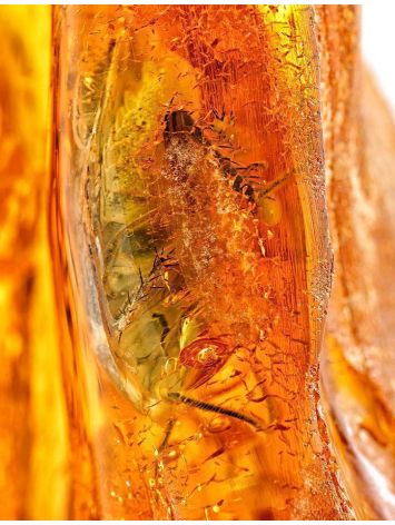 Amber Souvenir Stone With Insect Inclusion, image , picture 6