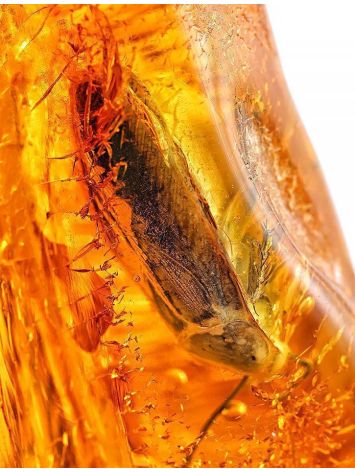 Amber Souvenir Stone With Insect Inclusion, image , picture 2