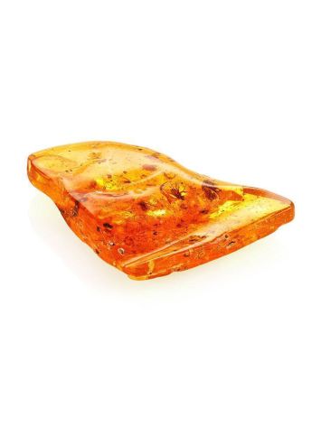 Cognac Amber Souvenir Stone With Insect Inclusions, image , picture 8