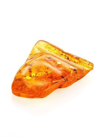 Cognac Amber Souvenir Stone With Insect Inclusions, image , picture 9