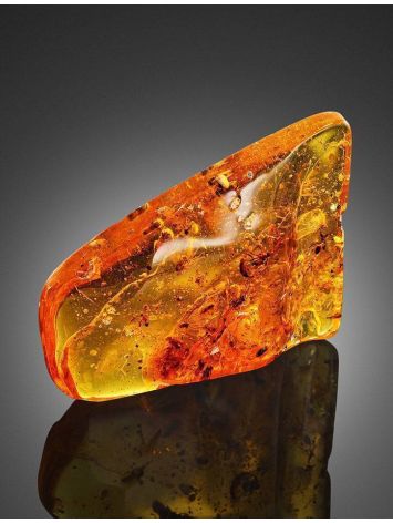 Cognac Amber Souvenir Stone With Insect Inclusions, image , picture 5