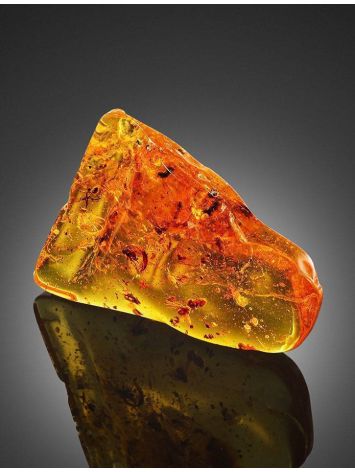 Cognac Amber Souvenir Stone With Insect Inclusions, image , picture 6