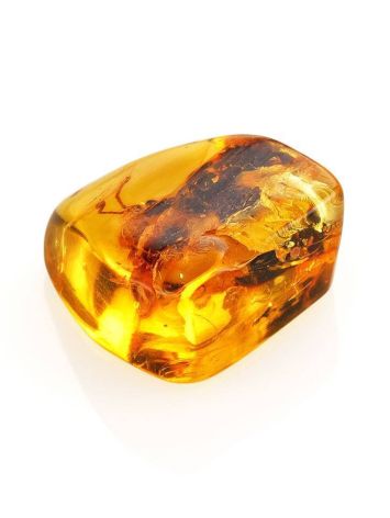 Amber Stone With Grasshopper Inclusion, image , picture 5
