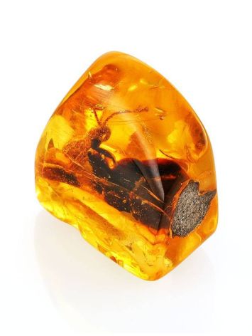 Amber Stone With Grasshopper Inclusion, image , picture 6